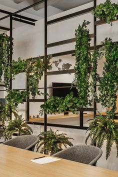 an office with plants on the wall and desks in front of it, along with chairs