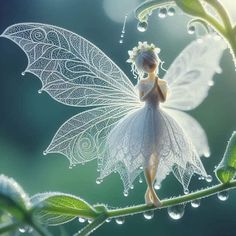 a white fairy sitting on top of a leaf covered branch with water droplets around it