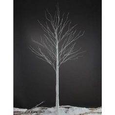 a white tree with no leaves on it in the middle of snow and dark background