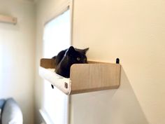 a black cat laying on top of a wooden shelf in a room next to a window