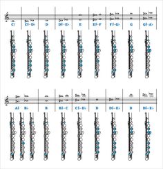 the flute is arranged in rows with blue dots on each side and four octaves at the end