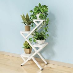 three potted plants sitting on top of a white shelf next to a blue wall