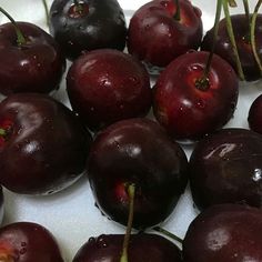 a bunch of cherries sitting on top of a white countertop covered in water