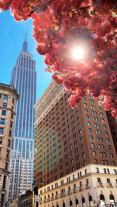 the sun shines brightly in front of tall buildings