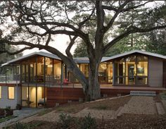 a modern house in the woods at dusk