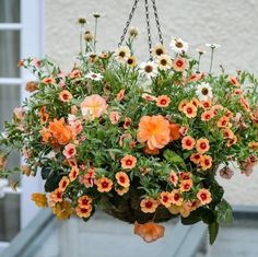 a hanging planter filled with lots of orange and white flowers