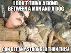 Military Service Dogs, Army Dogs, Dog Hero, Military Working Dogs, Military Dogs, Medical Staff, Police Dogs, Military Service, Dogs Of The World