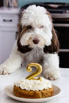 a dog is sitting in front of a cake with the number two candle on it