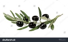 black olives with leaves on white background