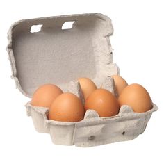 an open carton of eggs on a white background