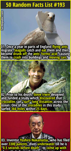 01. Once a year in parts of England flying ants migrate. Seagulls catch and eat them and then become drunk off the ants’ formic acid, causing them to crash into buildings and moving cars.