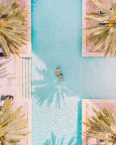 a person swimming in a pool surrounded by palm trees