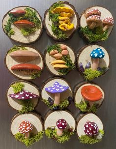 miniature mushrooms are arranged on wood slices with moss and rocks in the center for display