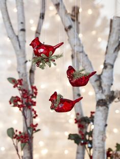 three red birds hanging from branches with lights in the background