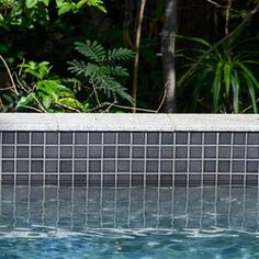 a dog sitting on the edge of a swimming pool