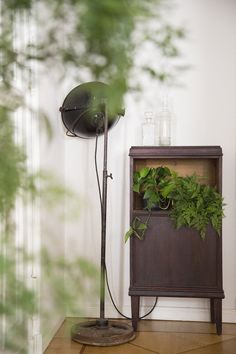 an old fashioned lamp is next to a wooden cabinet with plants growing in it on the floor