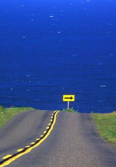 a yellow sign sitting on the side of a road by the ocean with grass and bushes