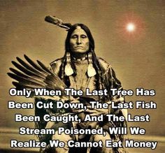 You can't eat money! Native Quotes, American Indian Quotes, Environmental Quotes, American Proverbs, Native American Spirituality, Indian Quotes, Native American Wisdom, Native American Quotes, Native American Culture