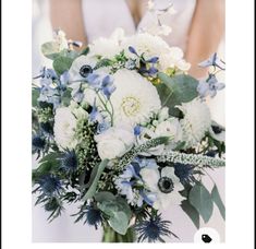 a bride holding a bouquet of white and blue flowers