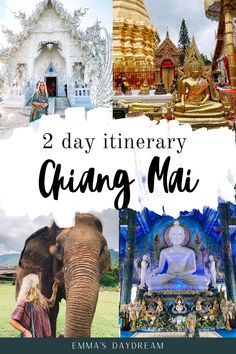 two day itinerary in yangy ma with images of buddhas and elephants