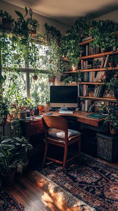 an office with lots of plants in the corner and a computer on top of it