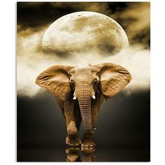 an elephant standing in front of a full moon with clouds and dark sky behind it