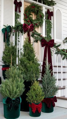 three christmas trees are sitting on the porch