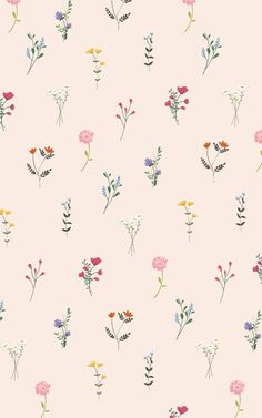 a pink wallpaper with flowers and leaves on the bottom half of it, all in different colors