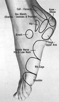 Are you in need of rest and relaxation? Thank God there is a solution for every problem, and this one is an easy one indeed. We often neglect our feet, and they are the ones holding us up for hours each day, they do need your attention. There are many types of massage for our […] Bolesti Chrbta, Reflexology Chart, Reflexology Massage, Foot Reflexology, Trening Fitness, Sciatic Nerve, Foot Massage, Pressure Points, Reflexology