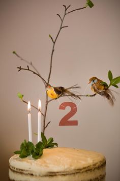 two birds sitting on top of a cake with candles in front of it and the number two behind them