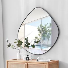 a mirror on the wall next to a dresser with a potted plant in it