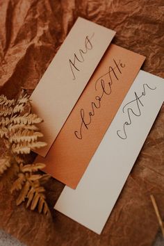 two pieces of paper with writing on them next to a pine cone and dried plant