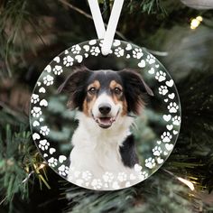 a christmas ornament with a dog's paw prints on it, hanging from a tree