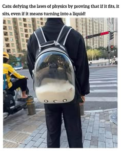 a person wearing a backpack with a cat face on the front and bottom part of it