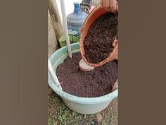 a bucket filled with dirt sitting on top of a grass covered ground