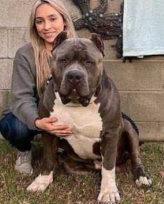 a woman kneeling down next to a brown and white pitbull on the grass