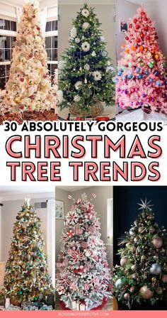 there are many different types of christmas trees in this collage with the words 30 absolutely gorgeous