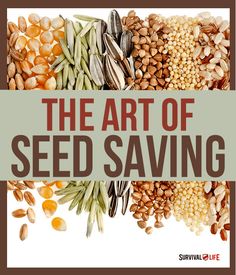 the art of seed saving is displayed in front of a white background with red lettering