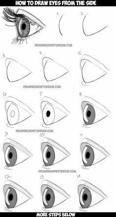 how to draw an eye from the side step by step drawing instructions for beginners