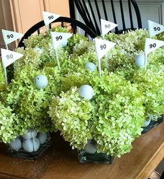 a table topped with vases filled with green plants and golf balls on top of each other