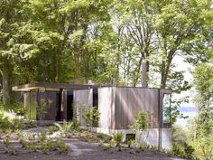 a small house in the middle of some trees and water with lots of plants growing out of it