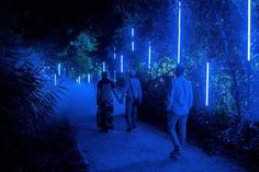 Resort Design Plan, Enchanted Night, Electronic Music Festival, Lost River, Night Walk, Urban Lighting, Dubai Luxury, Resort Design