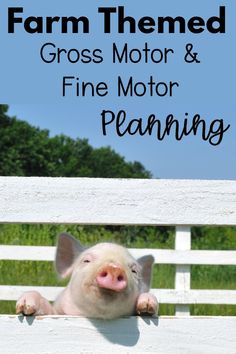 a pig peeking over the top of a white fence with text that reads, farm themed gross motor & fine motor planning