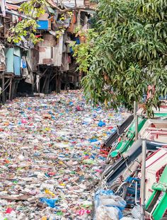 a street filled with lots of trash next to trees