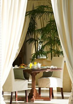 a table with two chairs and a potted plant