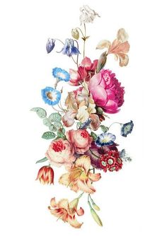 a bouquet of flowers is shown in this watercolor drawing by person, who has been drawn