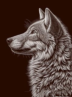 a black and white drawing of a wolf's head on a dark brown background