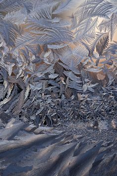 an image of ice crystals on the window