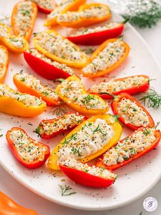 peppers stuffed with cheese and herbs on a white plate