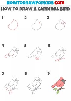 how to draw a cardinal bird step by step drawing instructions for kids and beginners